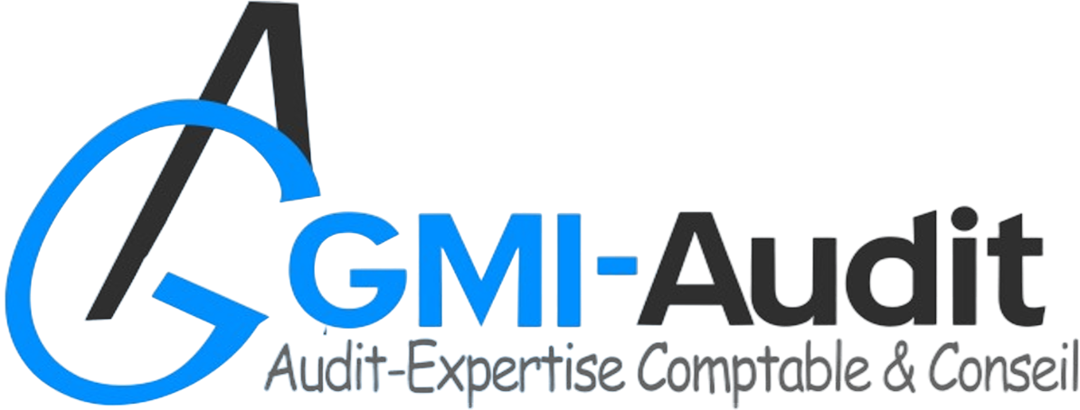GMI Audit Logo